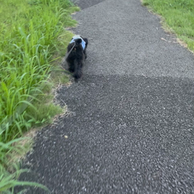 エコまだ18時だった笑笑の画像