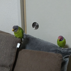 家族団らんの動画の画像