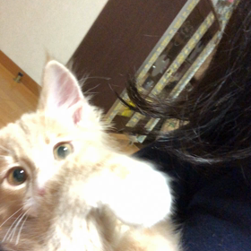 お世話になりましたの画像