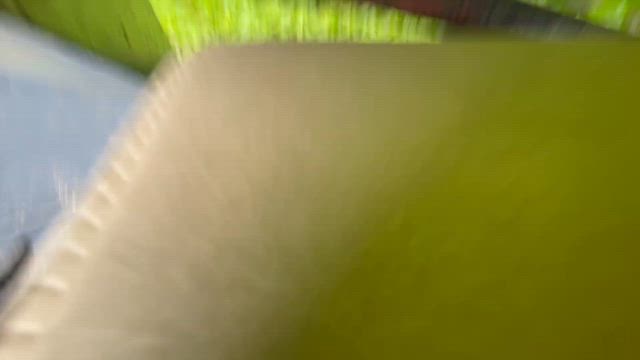 生い茂るツタの記事動画