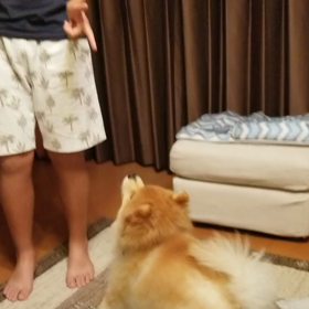 動くしんじろう。新しい技？、編。の画像