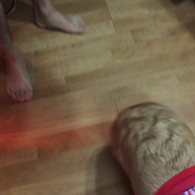 荒ぶるぷーちんの画像