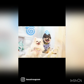 久々のお友達と(*☻-☻*)の画像