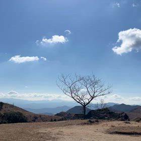 平尾台、の画像
