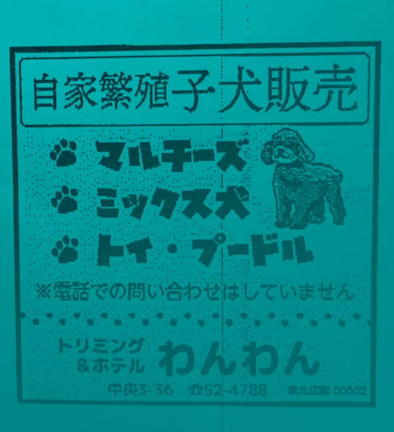 ご家族募集中の記事動画