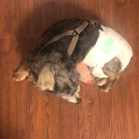 少しずつ、少しずつ…の画像