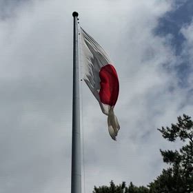 今日は出雲です。の画像