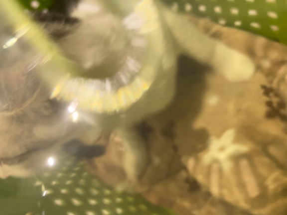 チャリティイベントありがとうございました！の記事動画