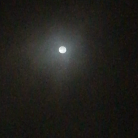 満月の夜の画像
