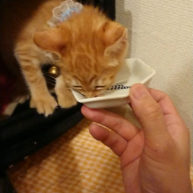 やっと！！…の画像