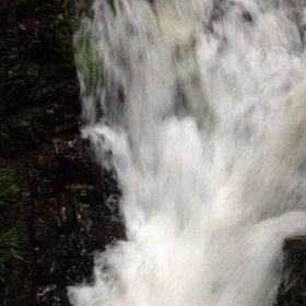 久しぶりの増水の画像