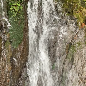 79:雨の画像