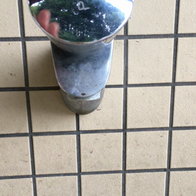 龍の髭の画像