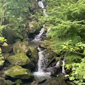 自己流の画像