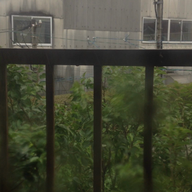 雨神(7号)の画像