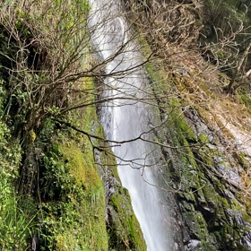 動画を撮ってみたの画像