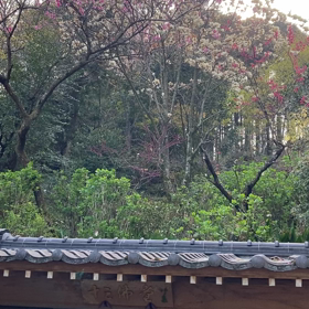 満行のお祝いは まだ続く？の画像