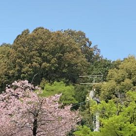 降ったり止んだりの画像