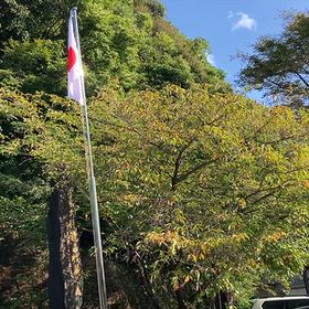 夏の名残の画像