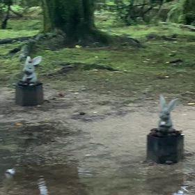 新しいオブジェの画像