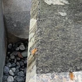 熱中症に気を付けましょうの画像