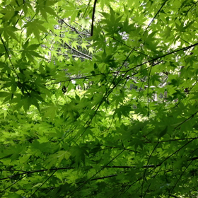 探し物 2016.4.23(土)の画像