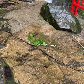 47.台風６号の画像