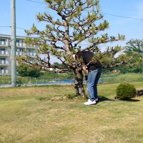 珍プレー⁉︎ or 好プレー‼︎の画像