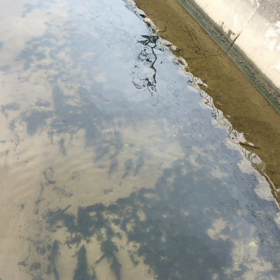 休み期間_φ(･_･←筆者。の画像