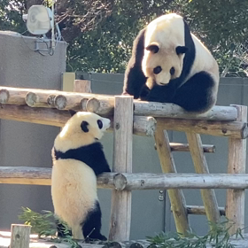 もうすぐ１歳の画像