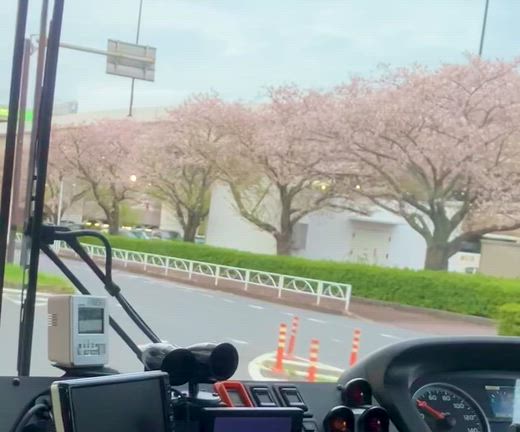 両親たち、無事帰ってきました！の記事動画