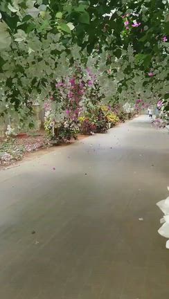 残っていた夏の島の写真〜の記事動画