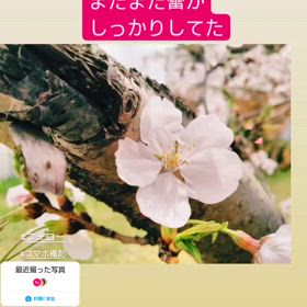 2024/04/12の画像