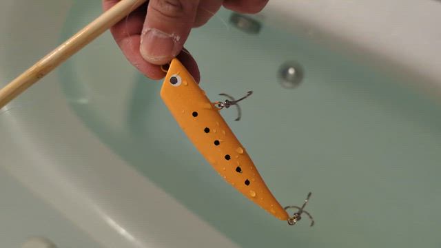 自作ルアーで3匹目！の記事動画
