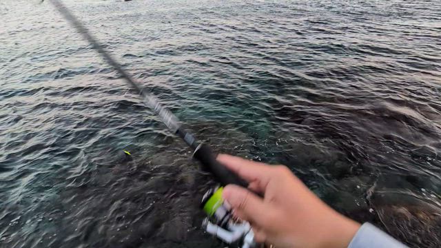 よく泳ぐダイビングペンシルを作りたいの記事動画