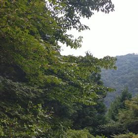 都民の森の画像
