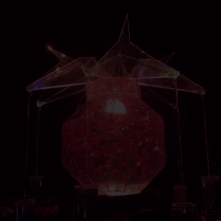 アートアクアリウム♡の記事動画