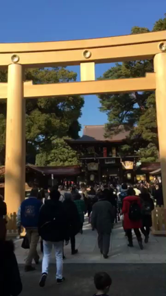 明治神宮の記事動画