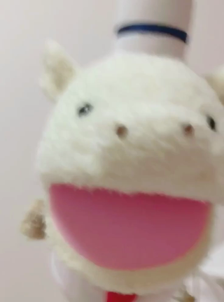どんたくの記事動画