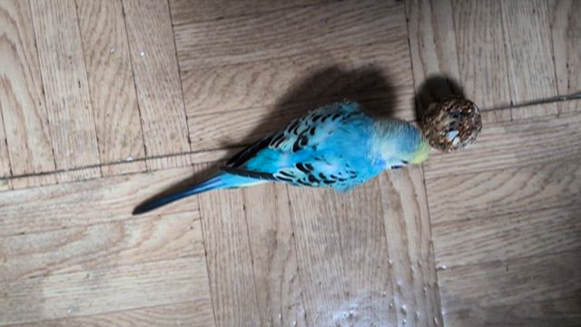 ・・・細かな“大きな”幸せの記事動画