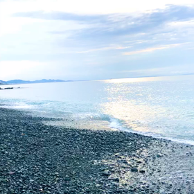 小田原の朝の海とむぎの画像