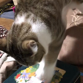 らいくんのおねだりの画像
