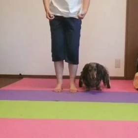 今日のクッキー君『また、一緒にダンスしたいな』の画像