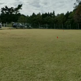 【広〜いドッグランでプラーを楽しもう！】その2の画像