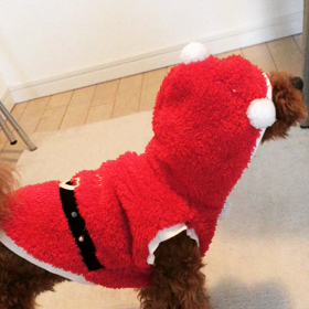 クリスマスイブの画像