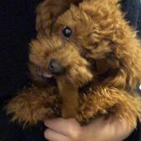 好物♡の画像