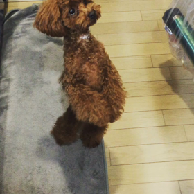 ♡の画像