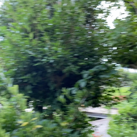 アップ失敗の画像