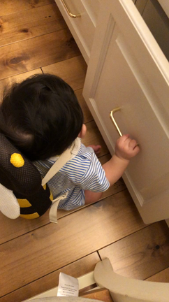 気が早い話の記事動画