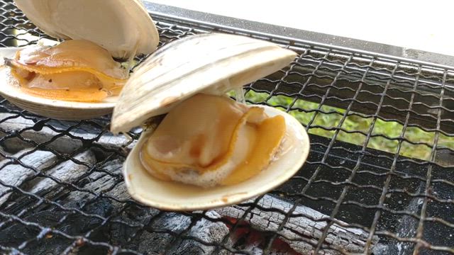 GWの記事動画